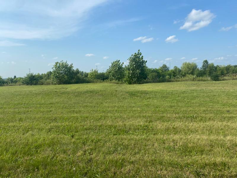 966 Wheatfield Avenue Property Photo 7