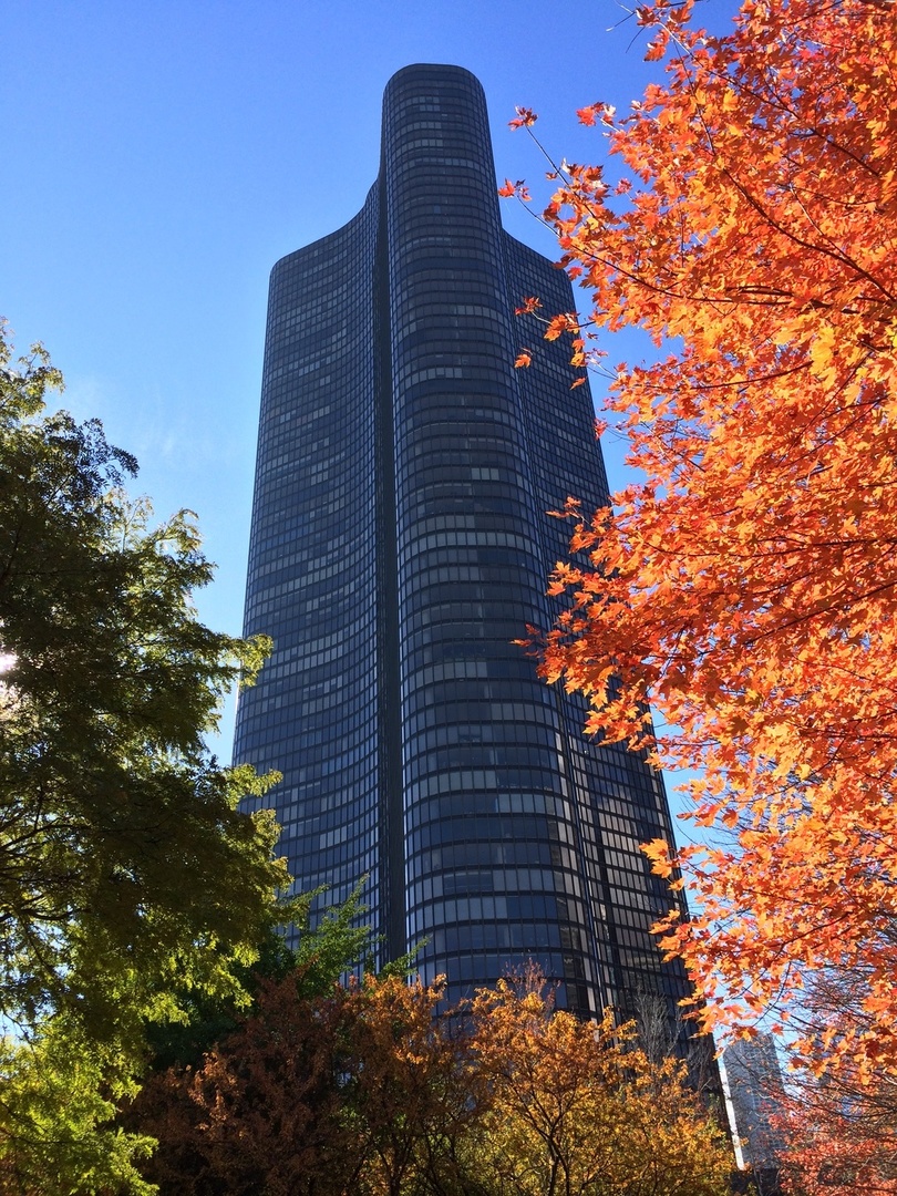 505 N Lake Shore Drive 6601 Property Photo 1