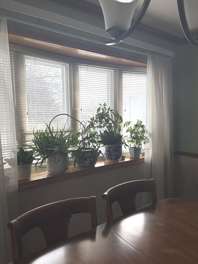 265 Macarthur Drive Property Photo 19