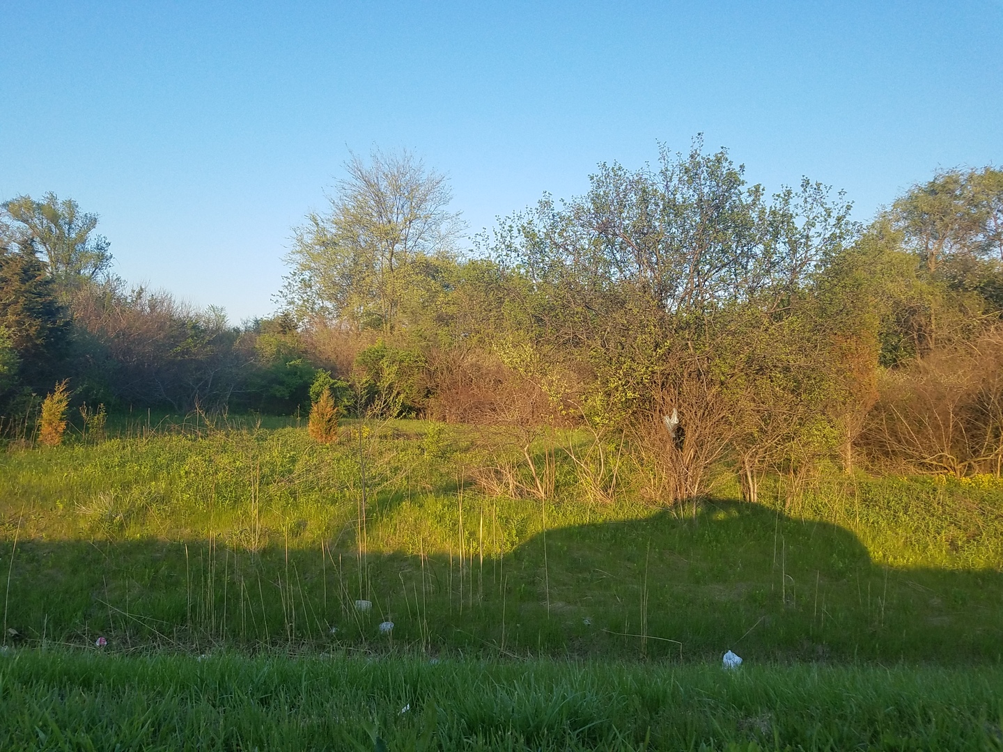 1811 Il Rte 25 (elgin) Road Property Photo 2