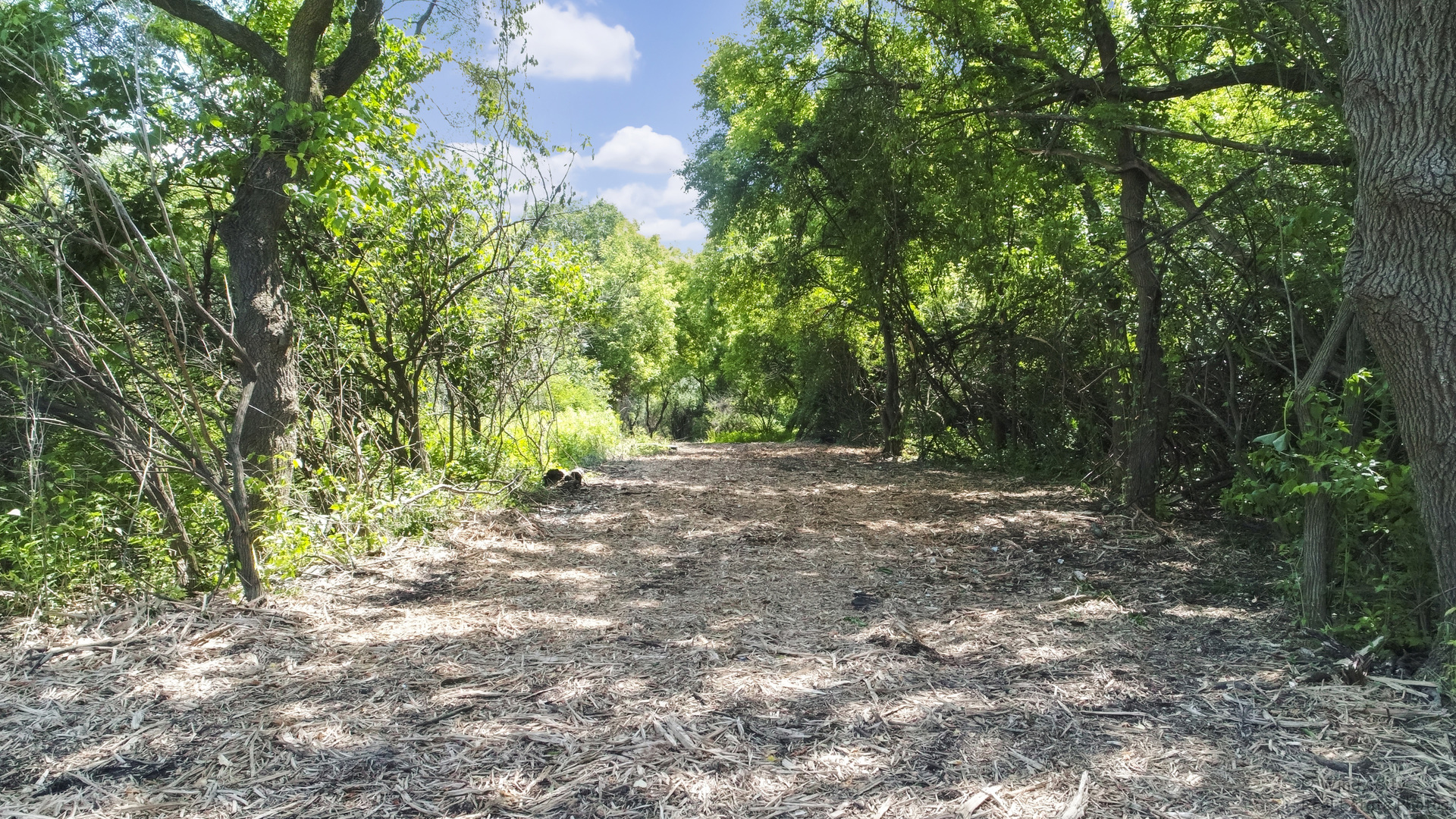 1811 Il Rte 25 (elgin) Road Property Photo 22