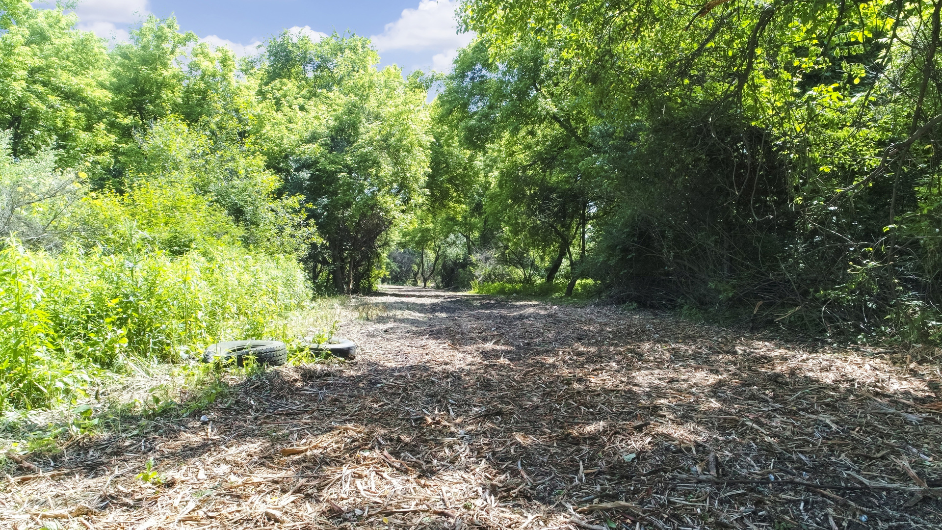 1811 Il Rte 25 (elgin) Road Property Photo 23