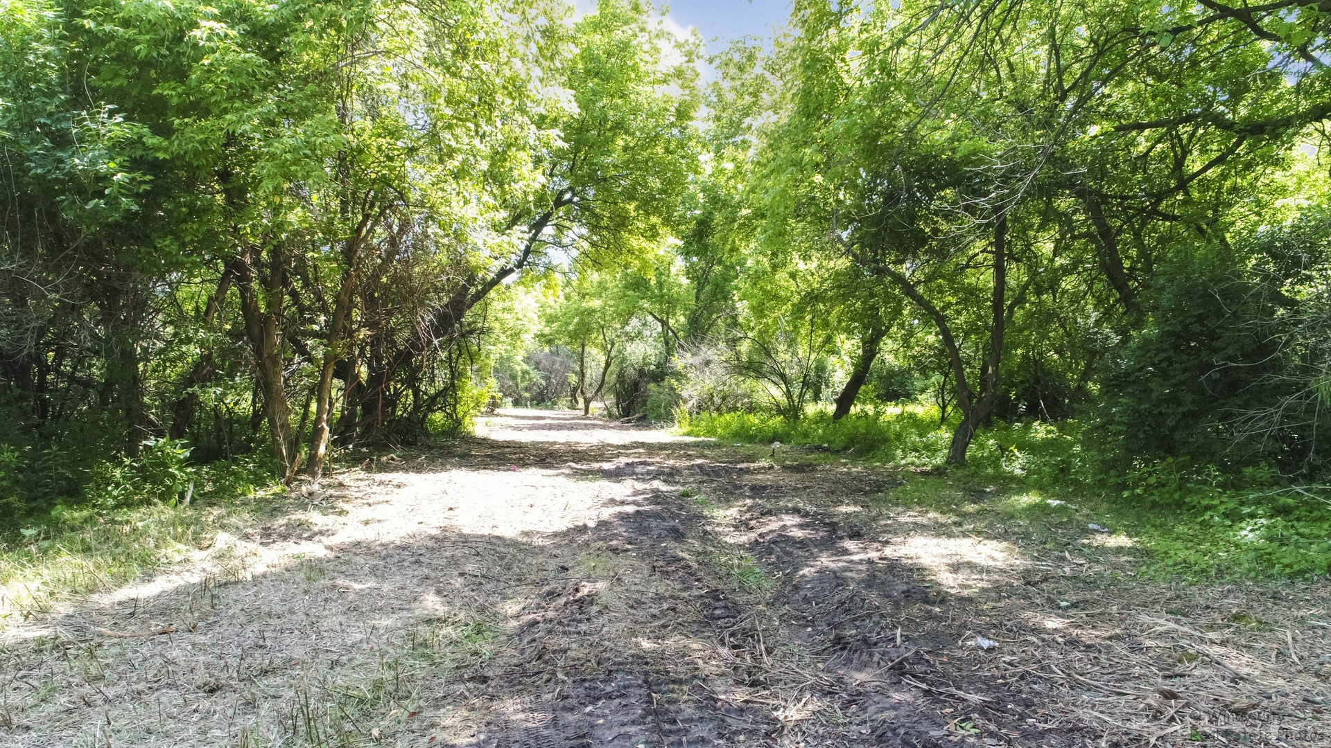 1811 Il Rte 25 (elgin) Road Property Photo 24