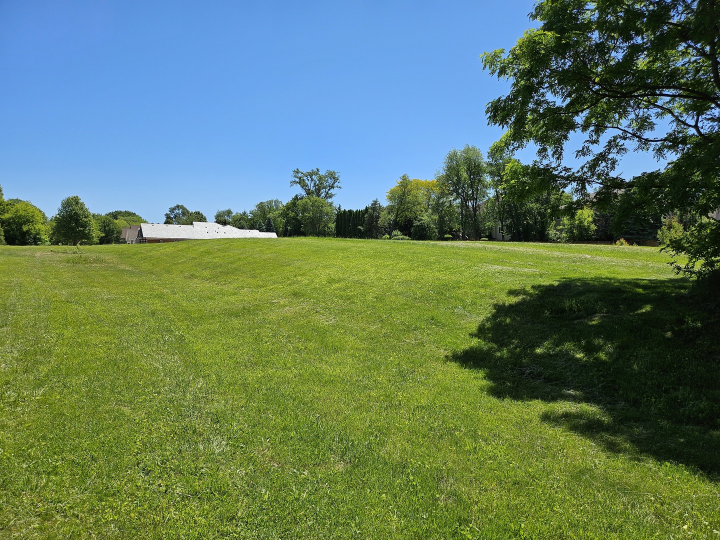 5804 Terra Cotta Road Property Photo 2