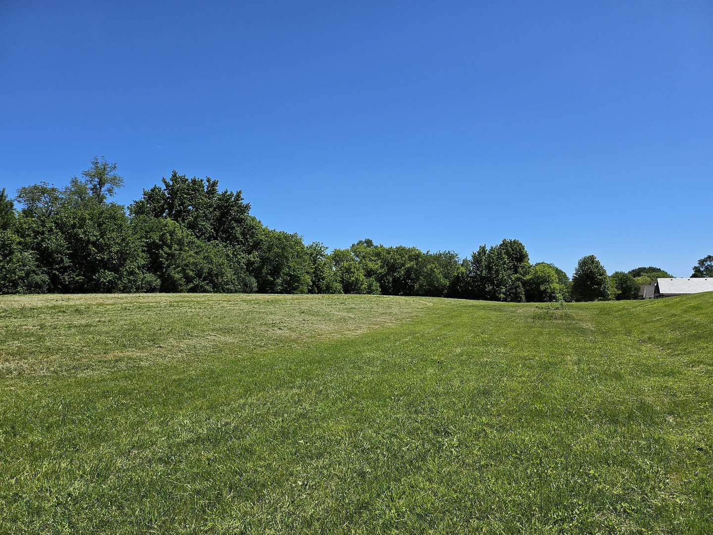 5804 Terra Cotta Road Property Photo 3