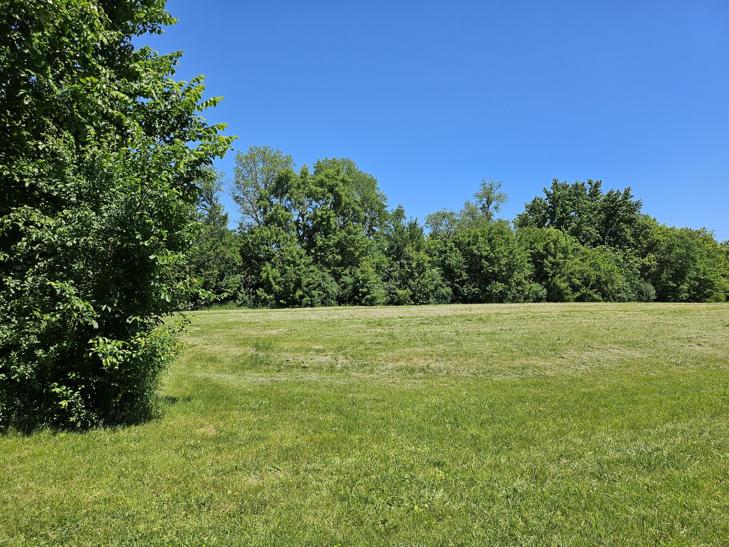 5804 Terra Cotta Road Property Photo 4