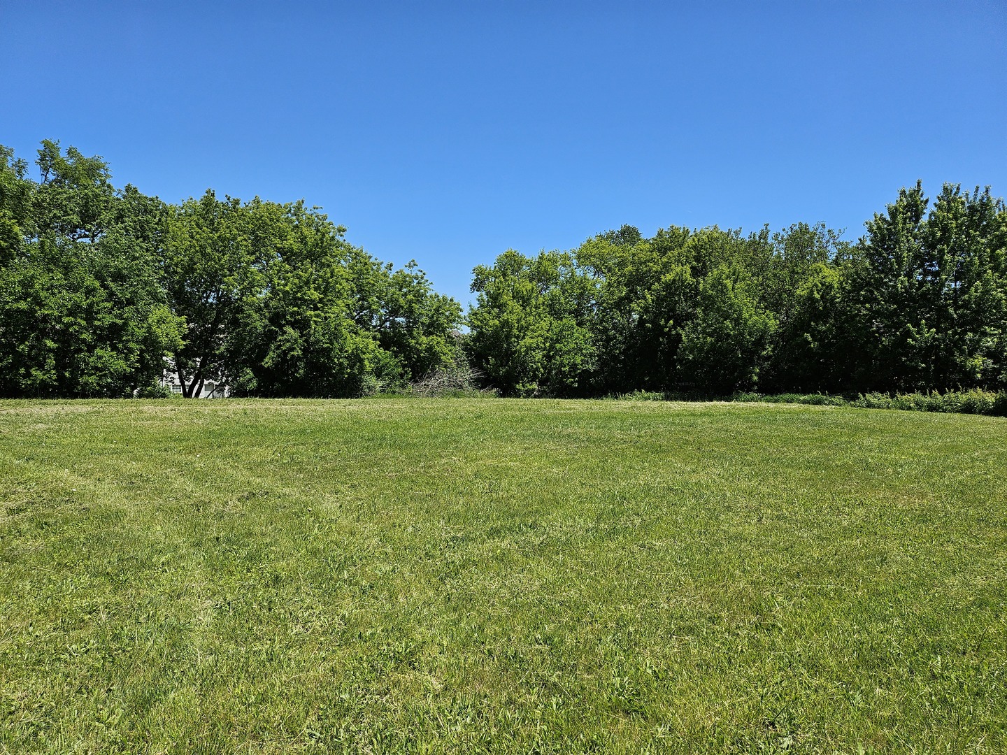 5804 Terra Cotta Road Property Photo 7