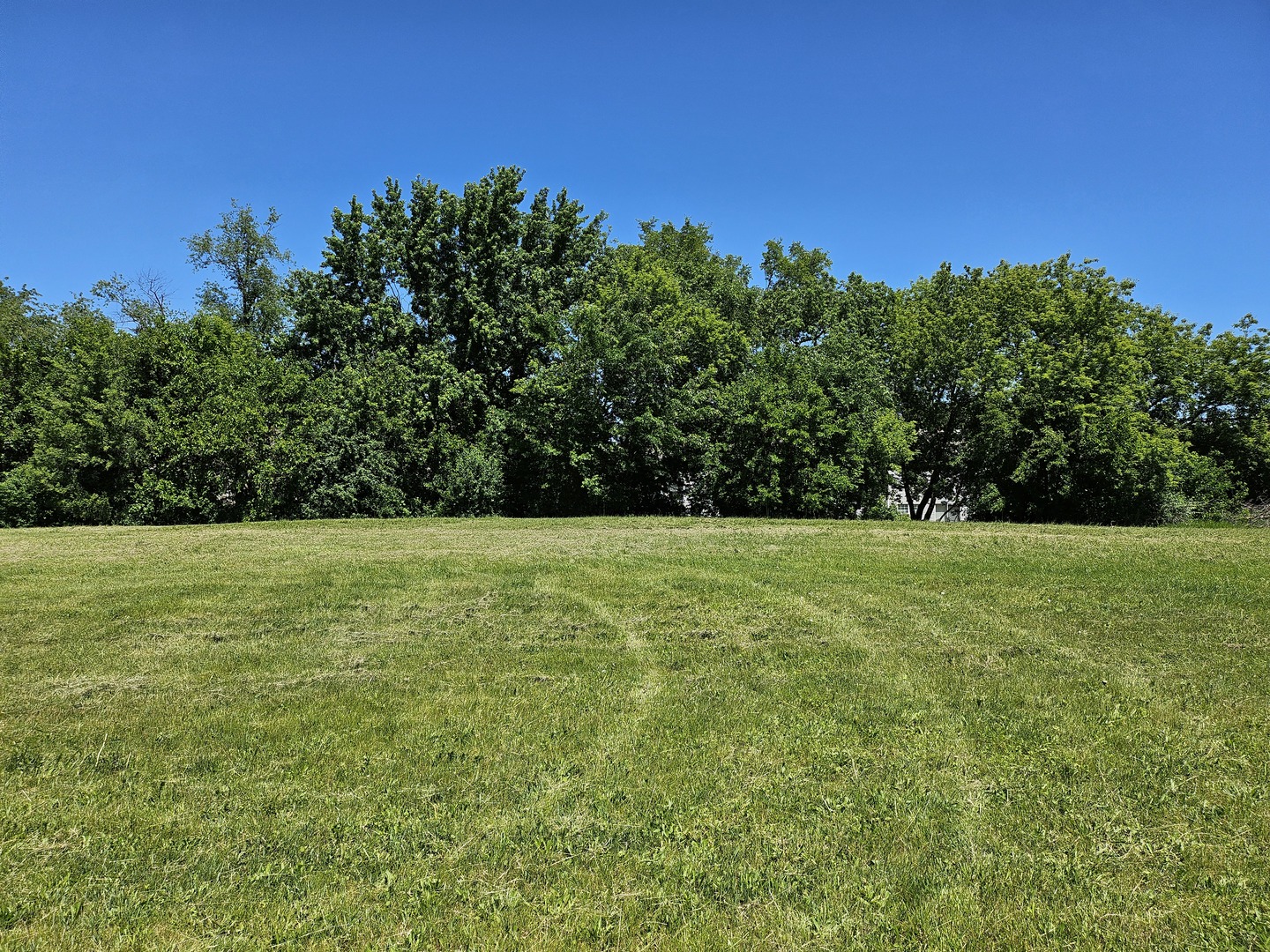 5804 Terra Cotta Road Property Photo 8