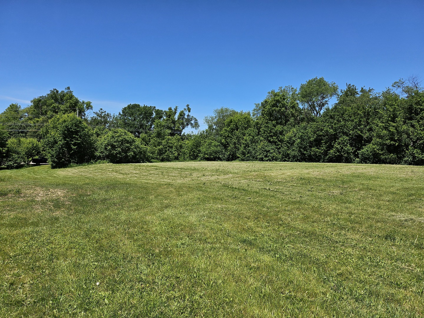 5804 Terra Cotta Road Property Photo 9