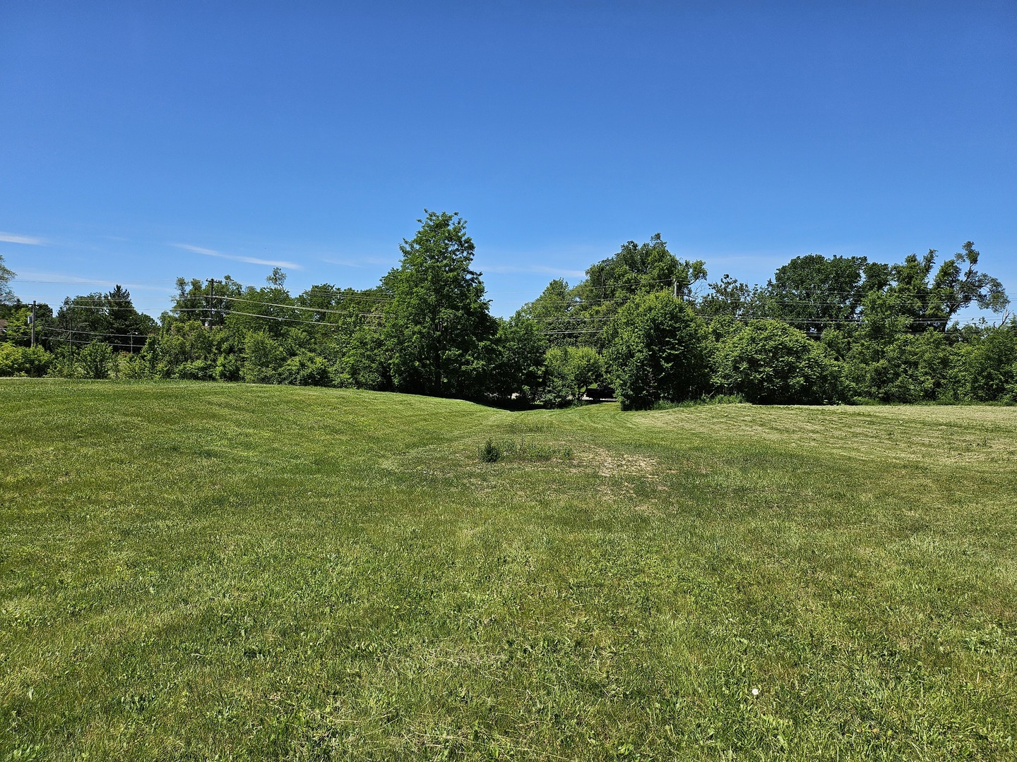5804 Terra Cotta Road Property Photo 10