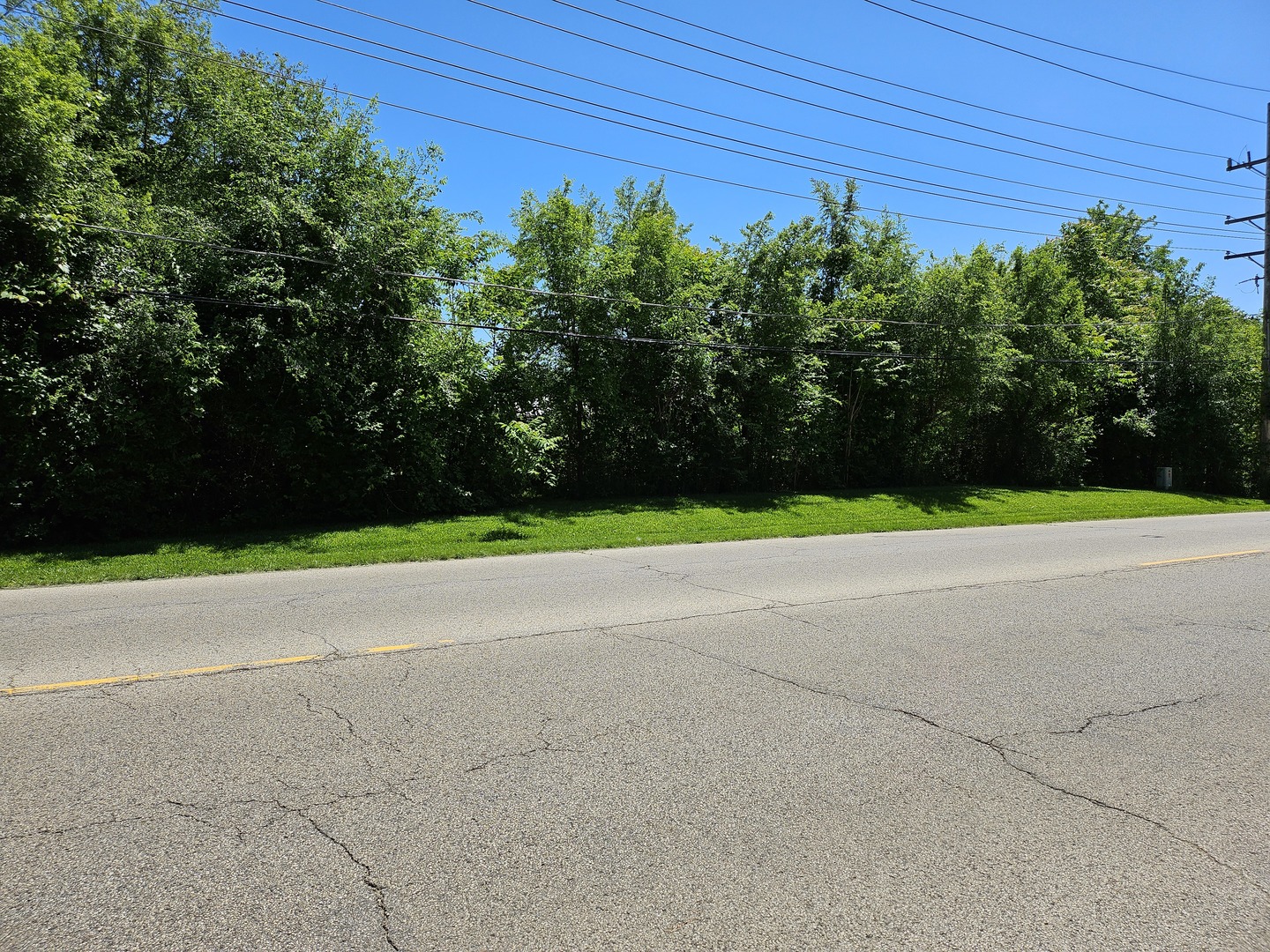 5804 Terra Cotta Road Property Photo 17