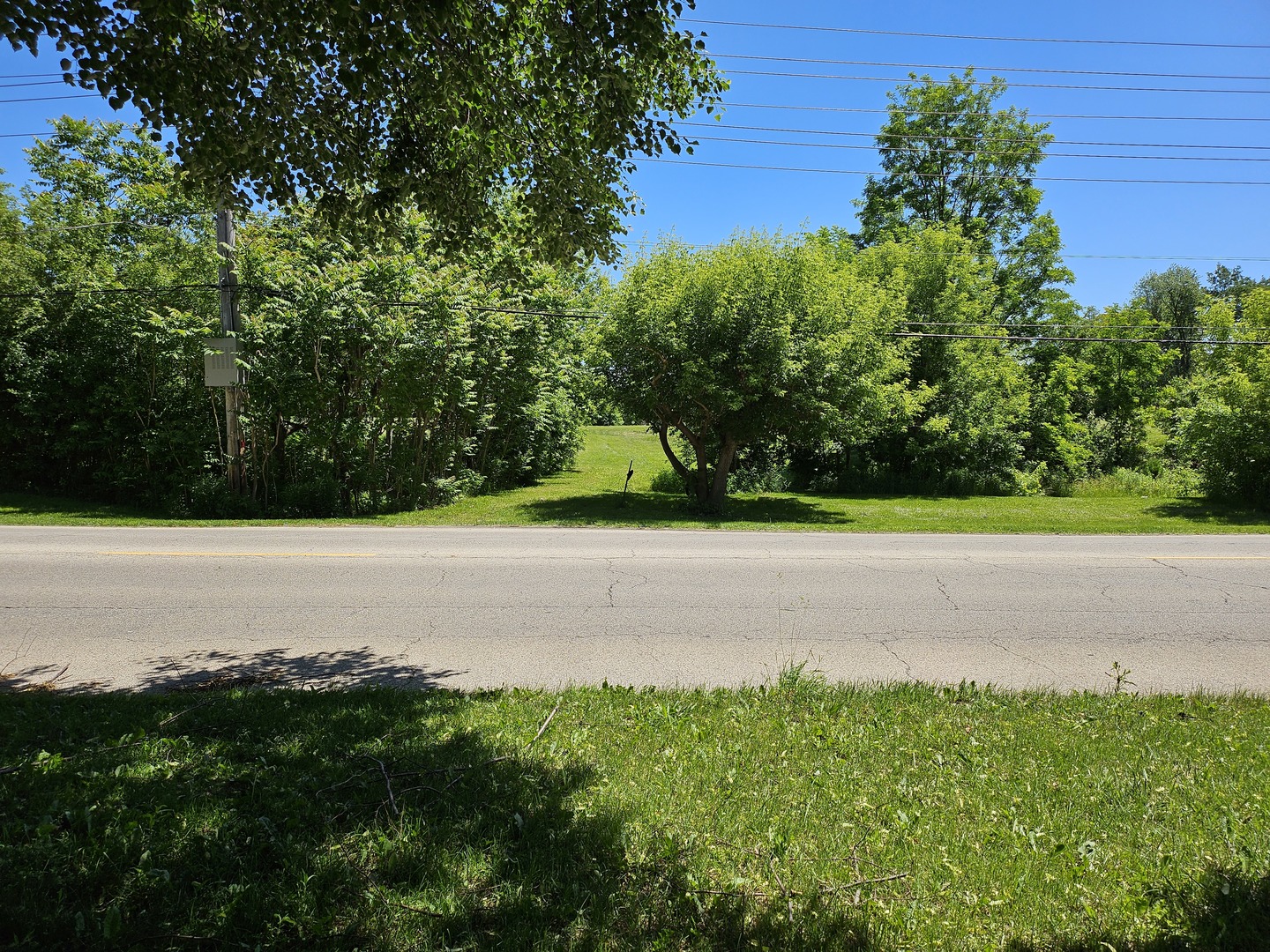 5804 Terra Cotta Road Property Photo 18