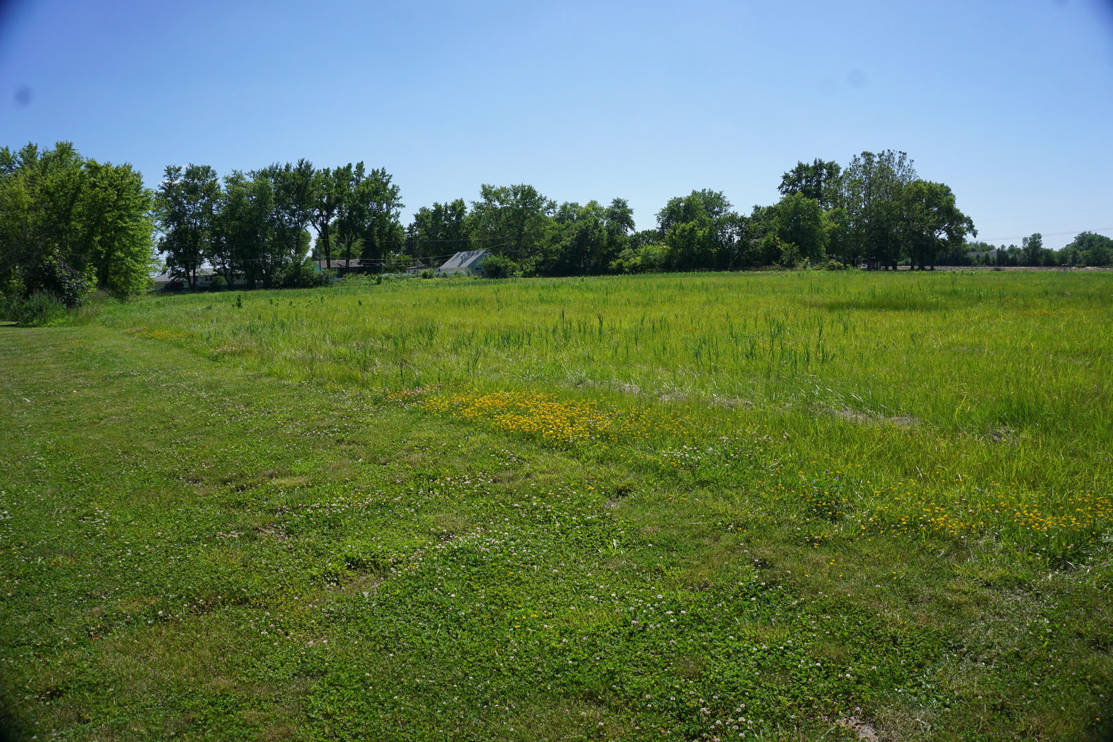 0 E Division Street Property Photo 4