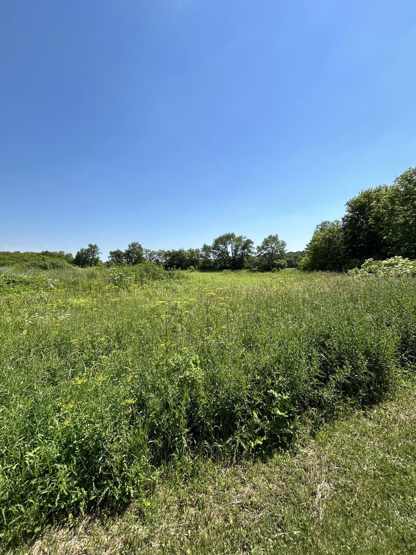 10277 Creekside Place Property Photo 8