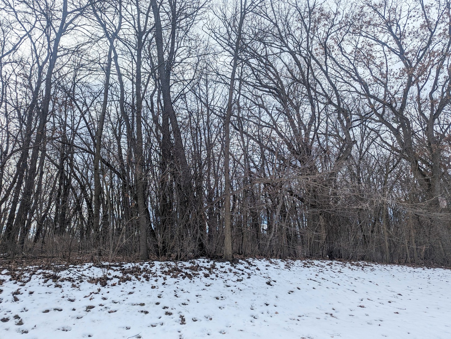 1711 Cedar Lane Property Photo 1