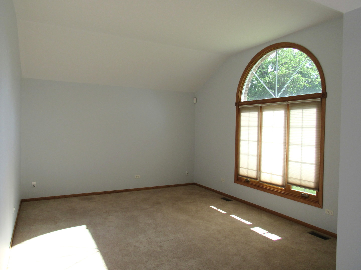 12900 S 104th Ave Property Photo 12