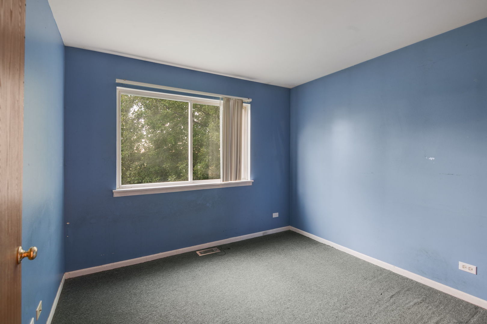 42 W Dahlia Lane Property Photo 4