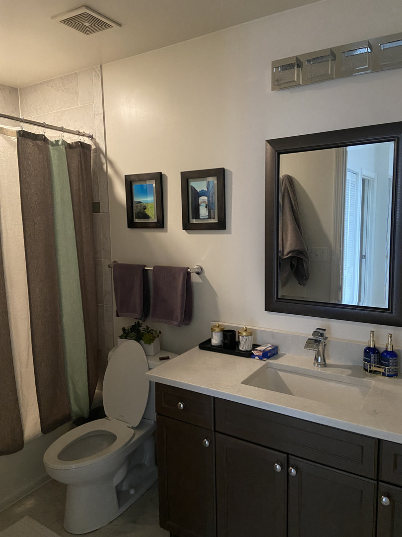 1250 S Michigan Avenue 1209 Property Photo 7