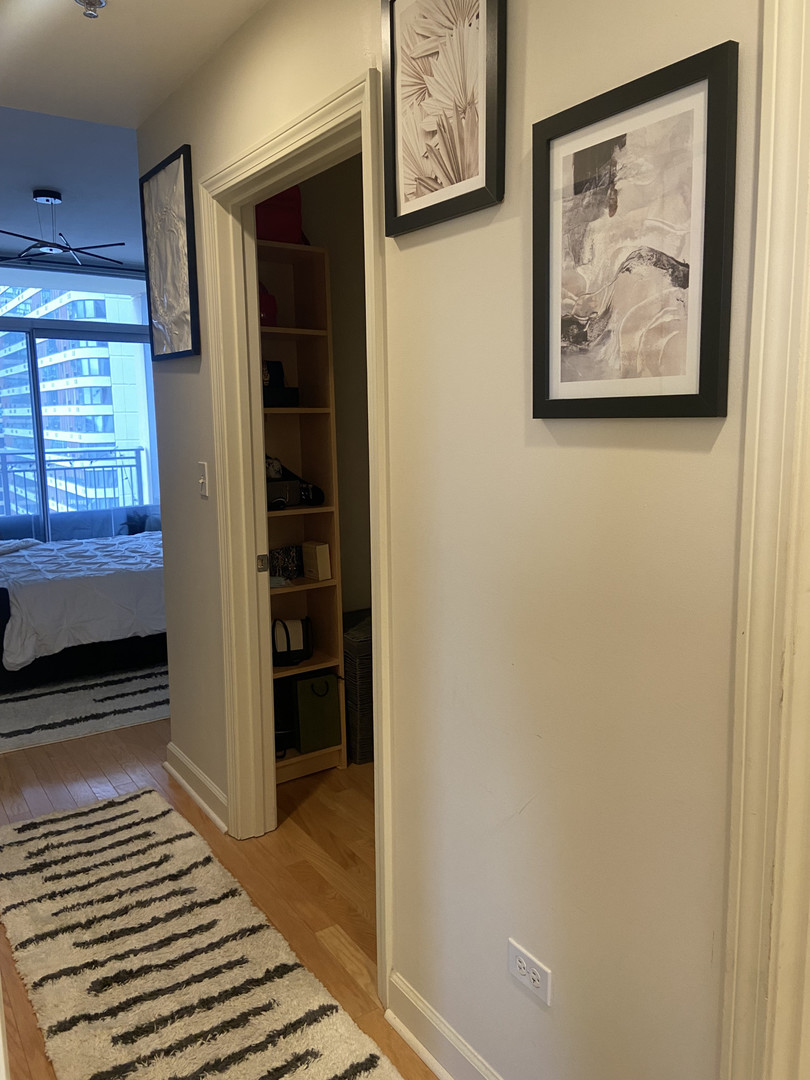 1250 S Michigan Avenue 1209 Property Photo 11