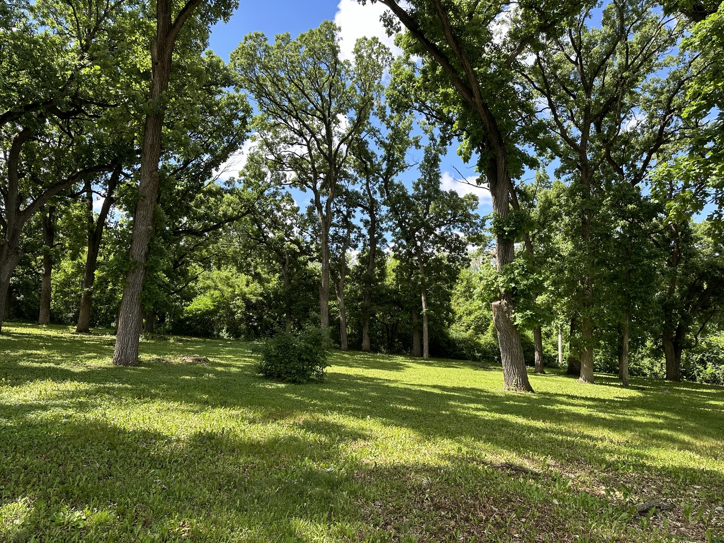12390 Oakcrest Drive Property Photo 5