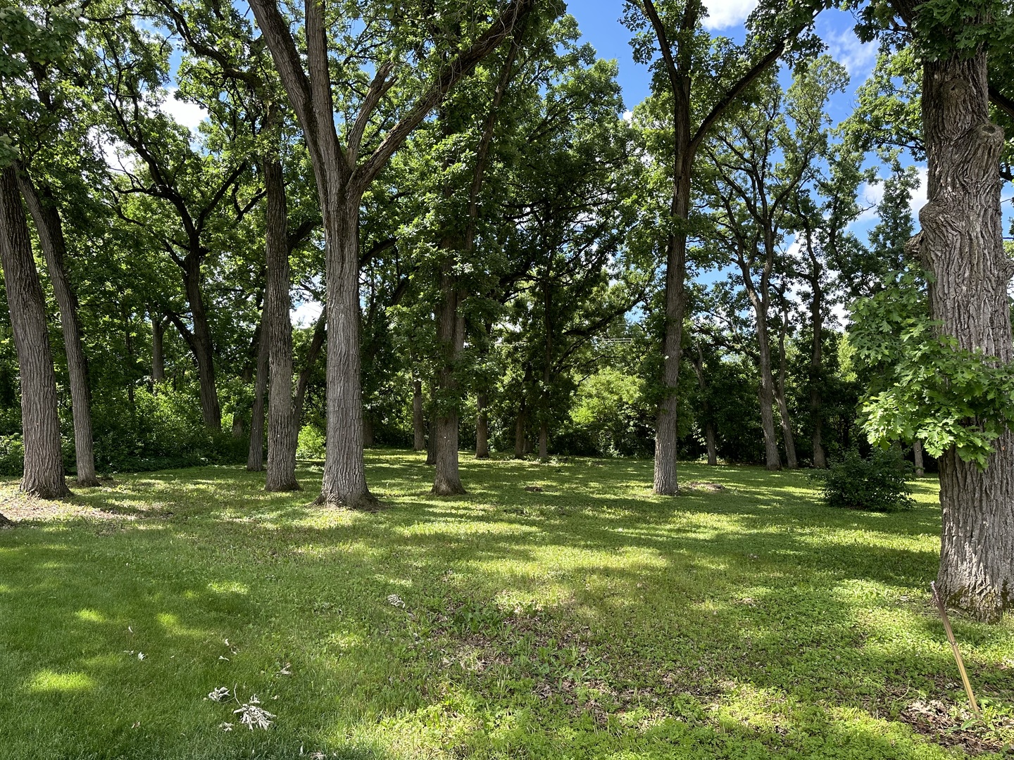 12390 Oakcrest Drive Property Photo 7