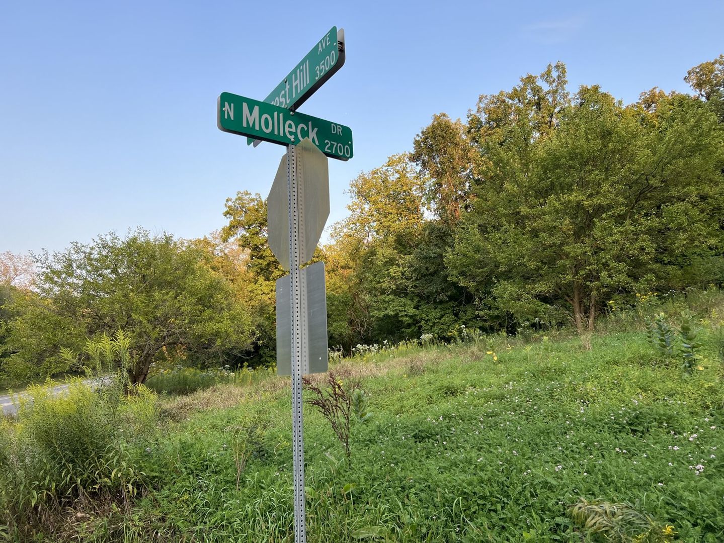 0 Molleck Street Property Photo 1