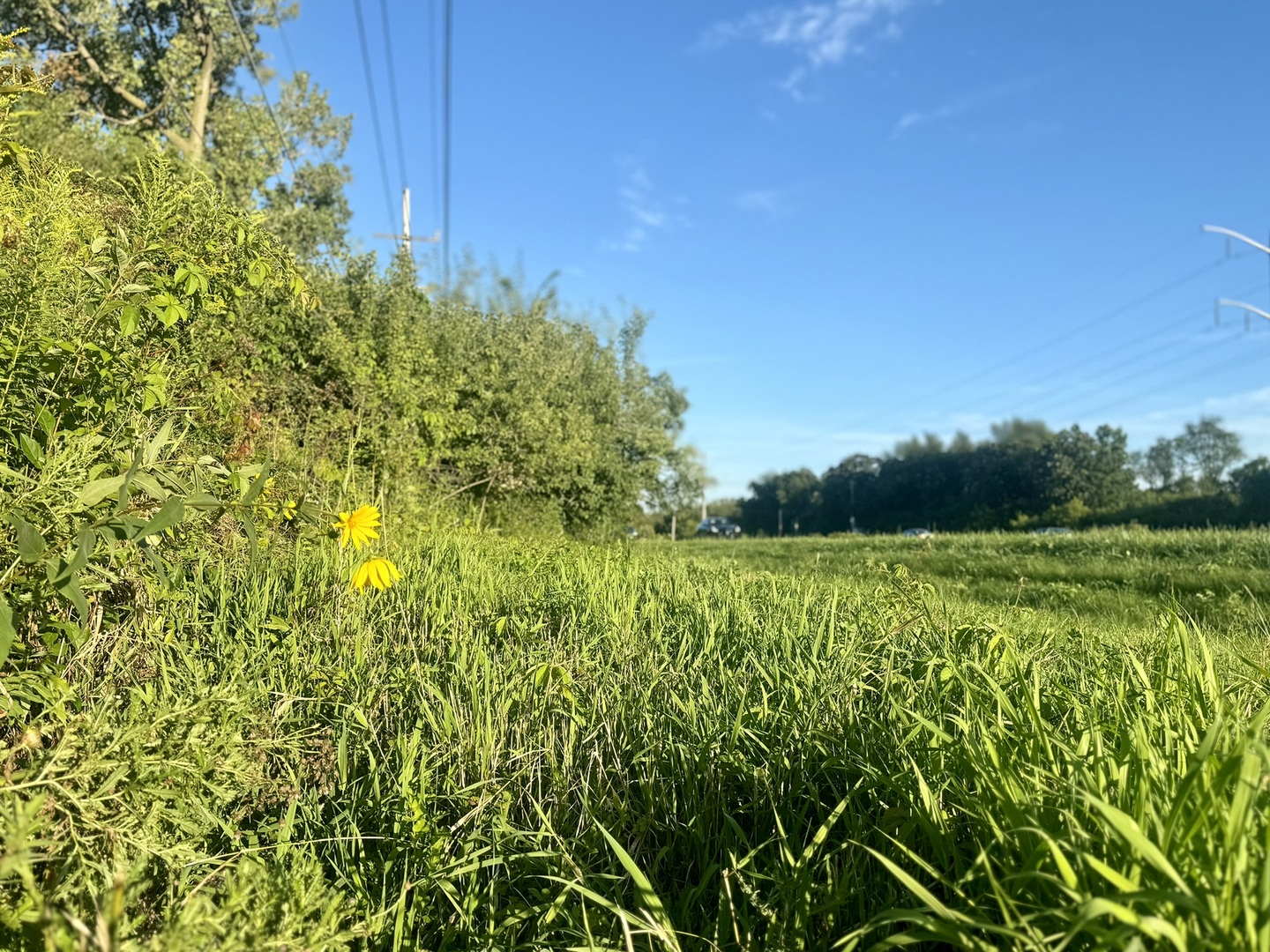 27470 W Northwest Highway Property Photo 1