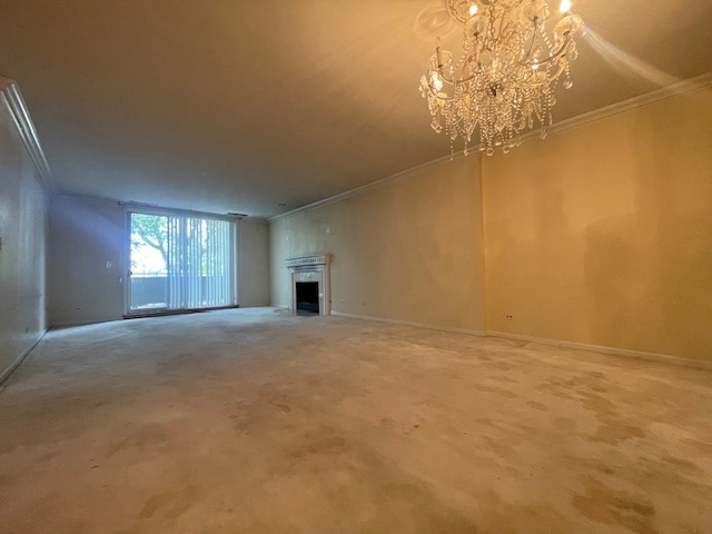 4545 W Touhy Avenue 103 Property Photo 6