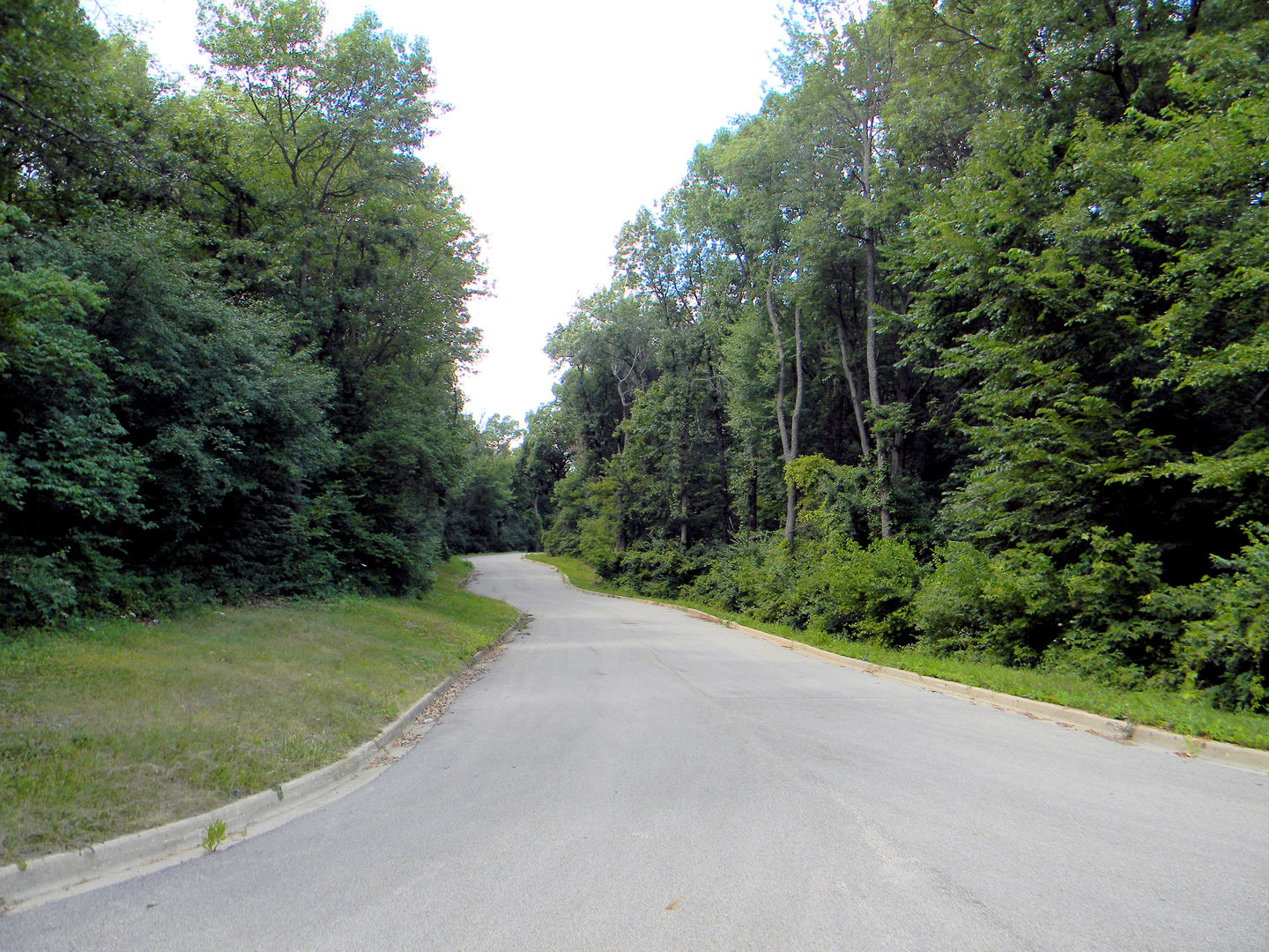 7111 Forest Oak Drive Property Photo 1