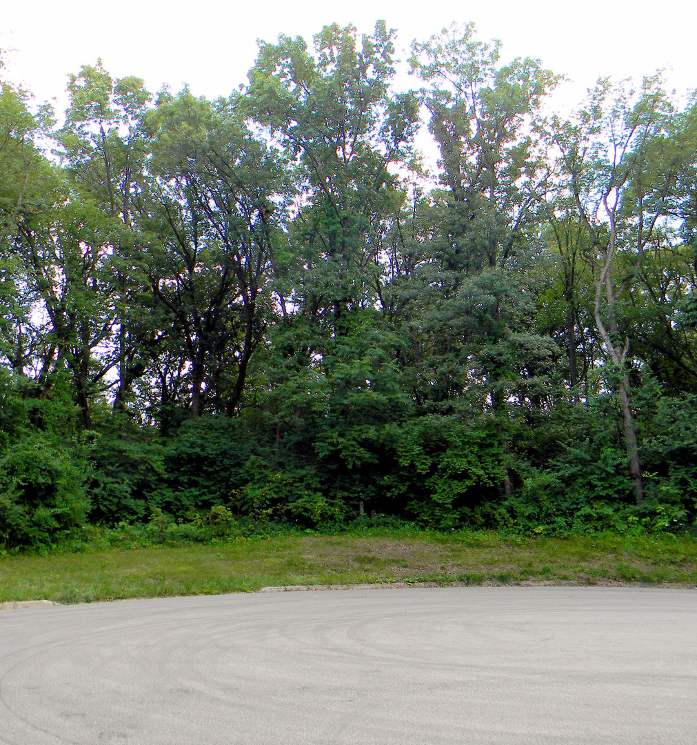 7111 Forest Oak Drive Property Photo 2