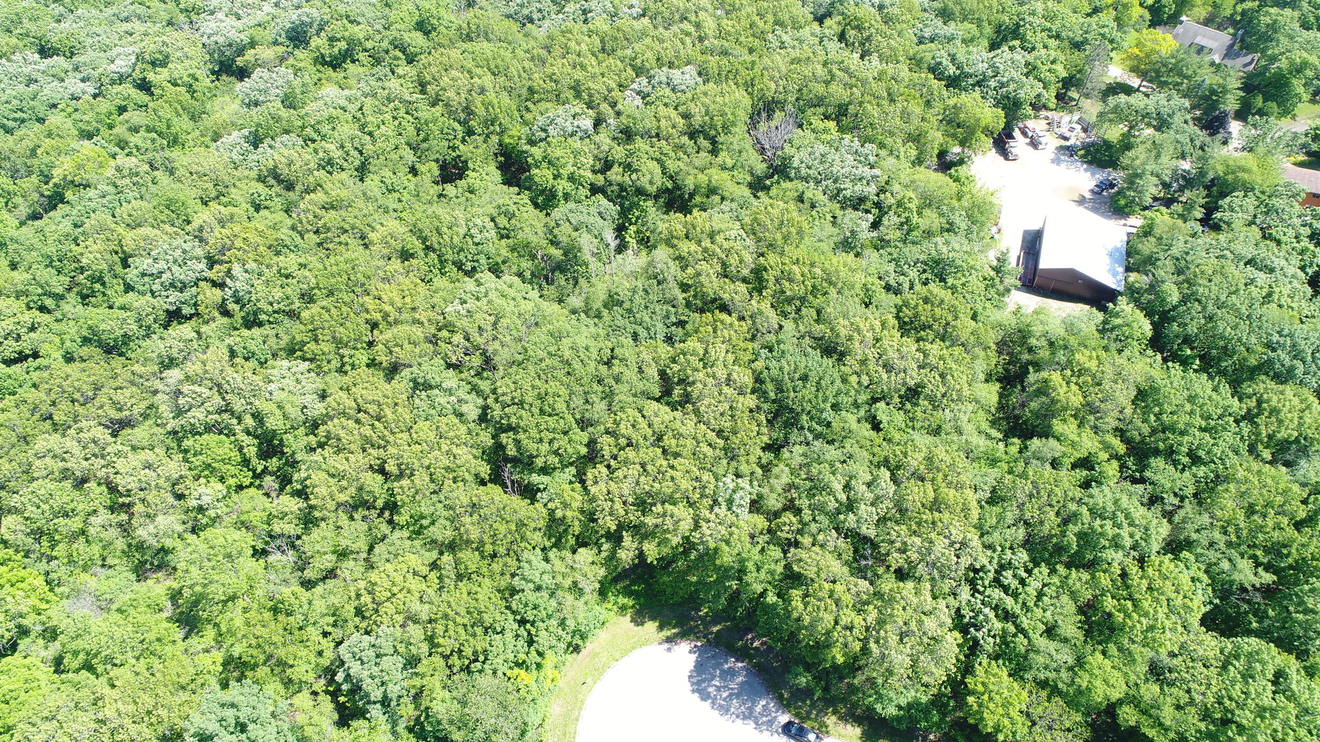 7111 Forest Oak Drive Property Photo 4