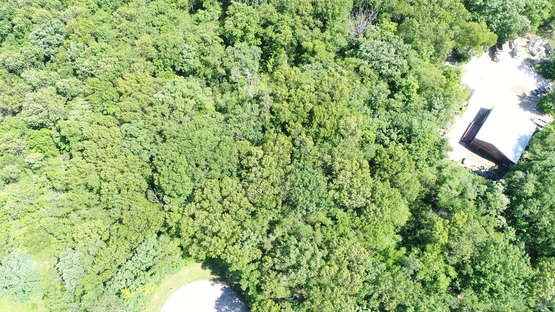 7111 Forest Oak Drive Property Photo 5