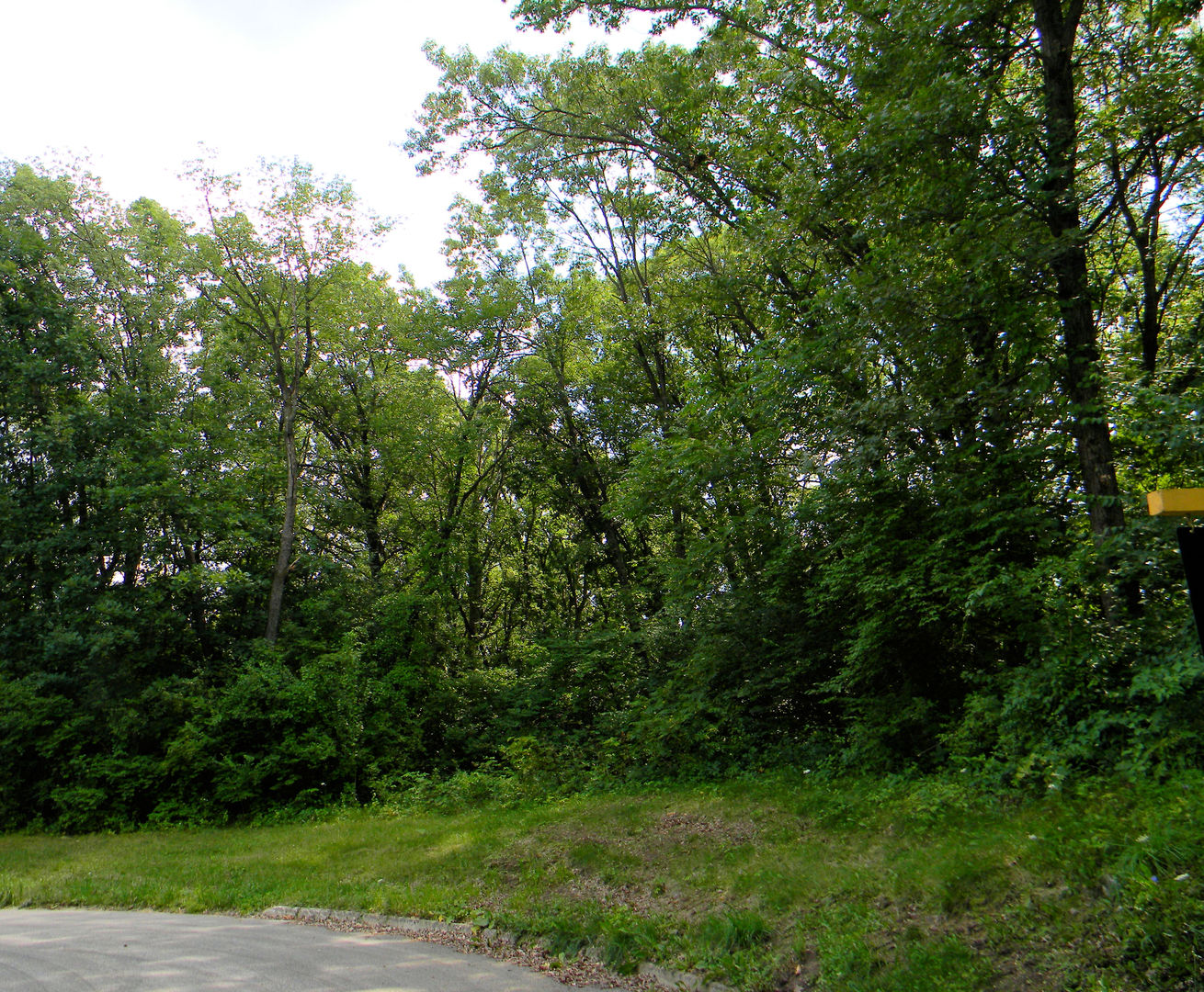 7111 Forest Oak Drive Property Photo 6