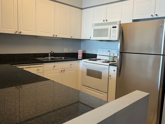 512 N Mcclurg Court 5306 Property Photo 4