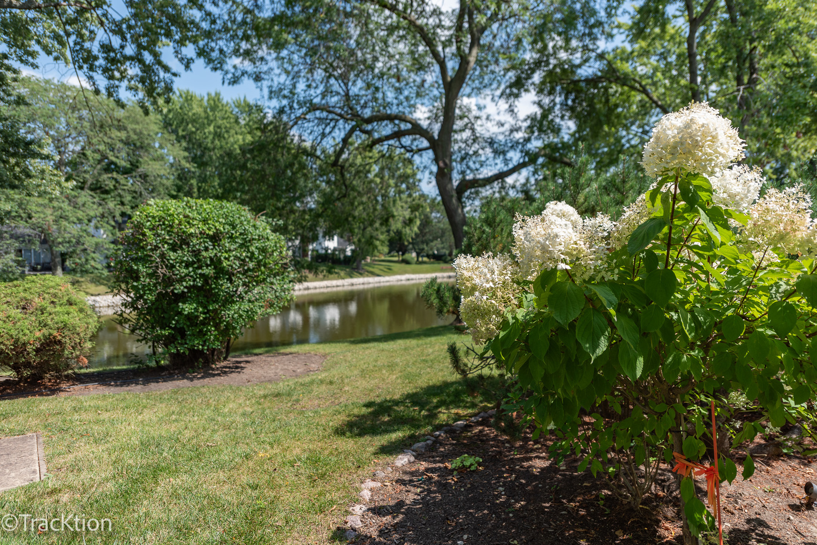 1229 W Bauer Road Property Photo 25
