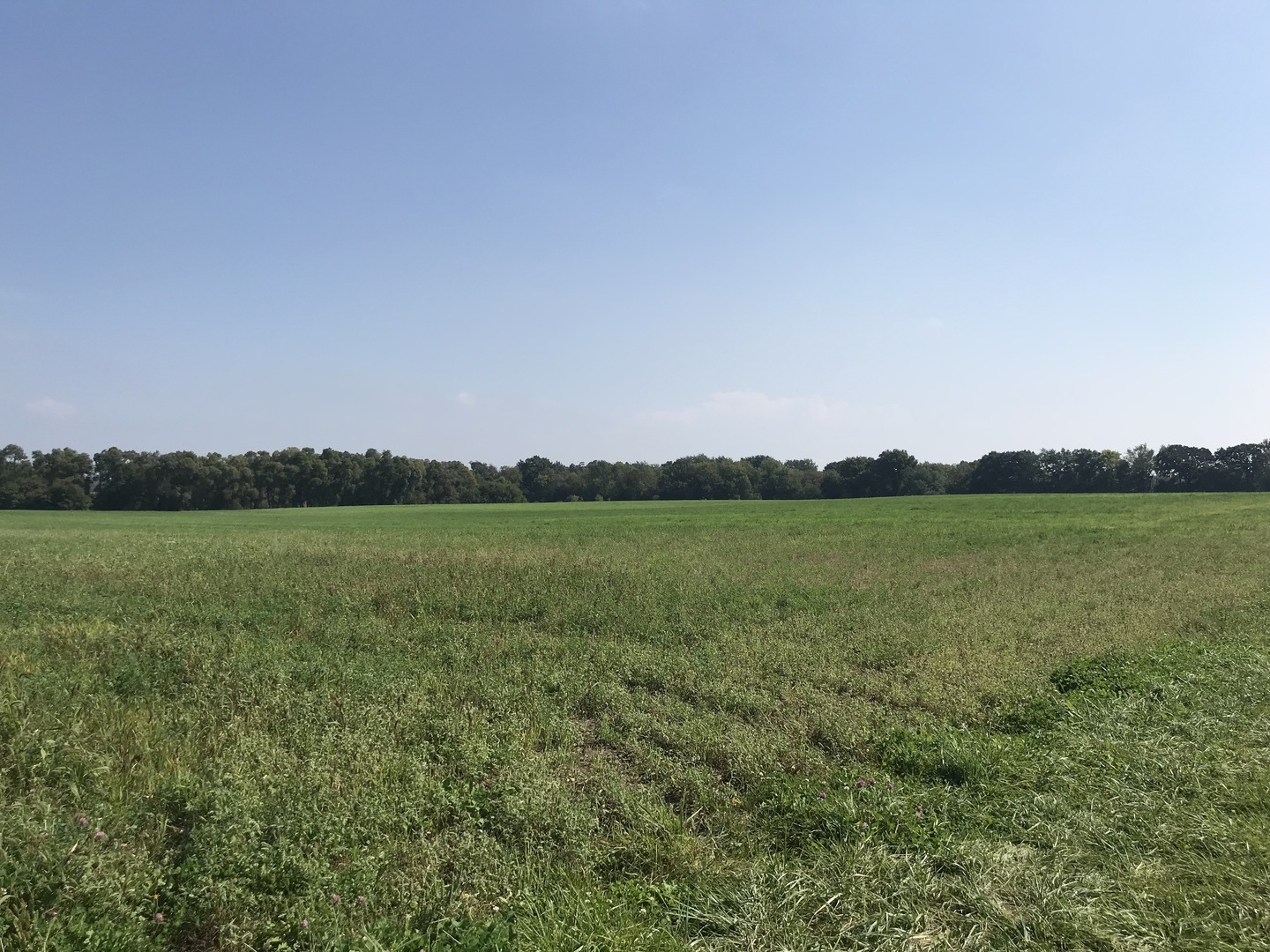 42909 N Deep Lake Road Property Photo 1