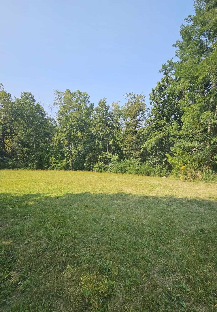 433 Woodland Trail Property Photo 2