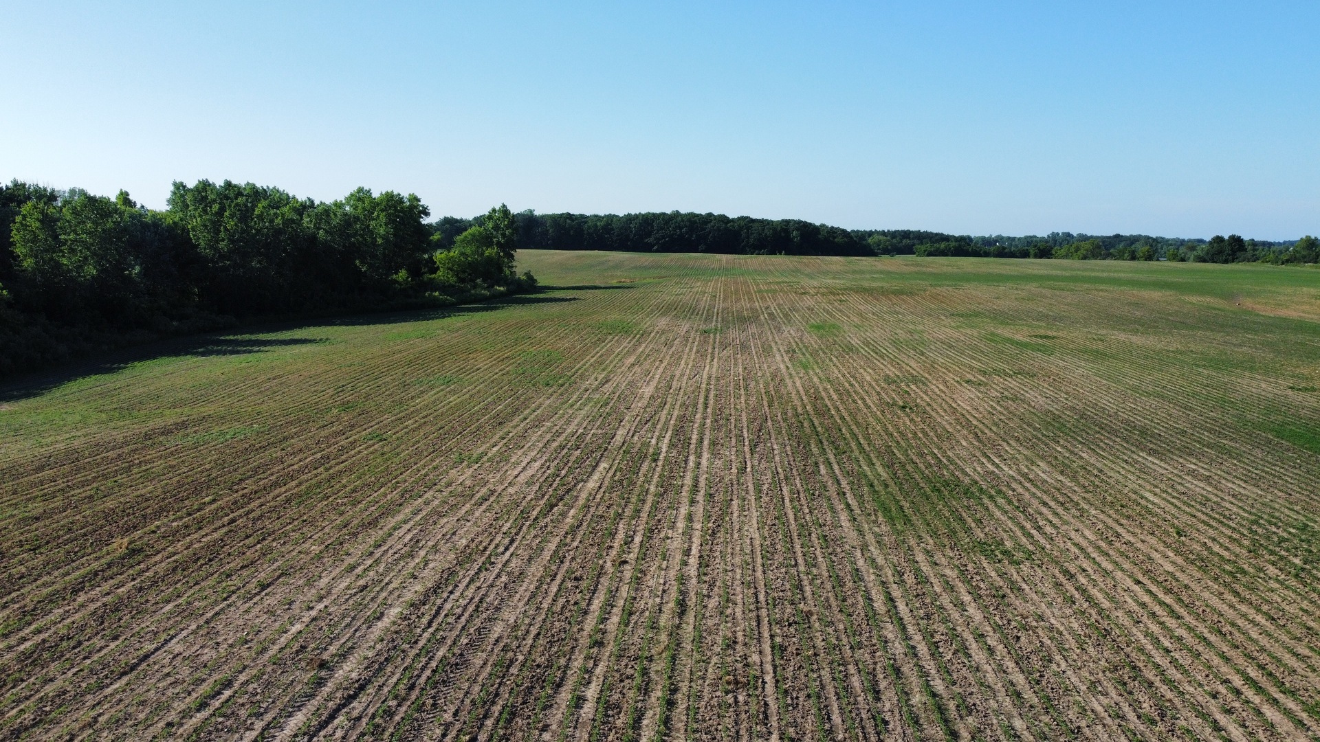 21210 W Grass Lake Road Property Photo 5
