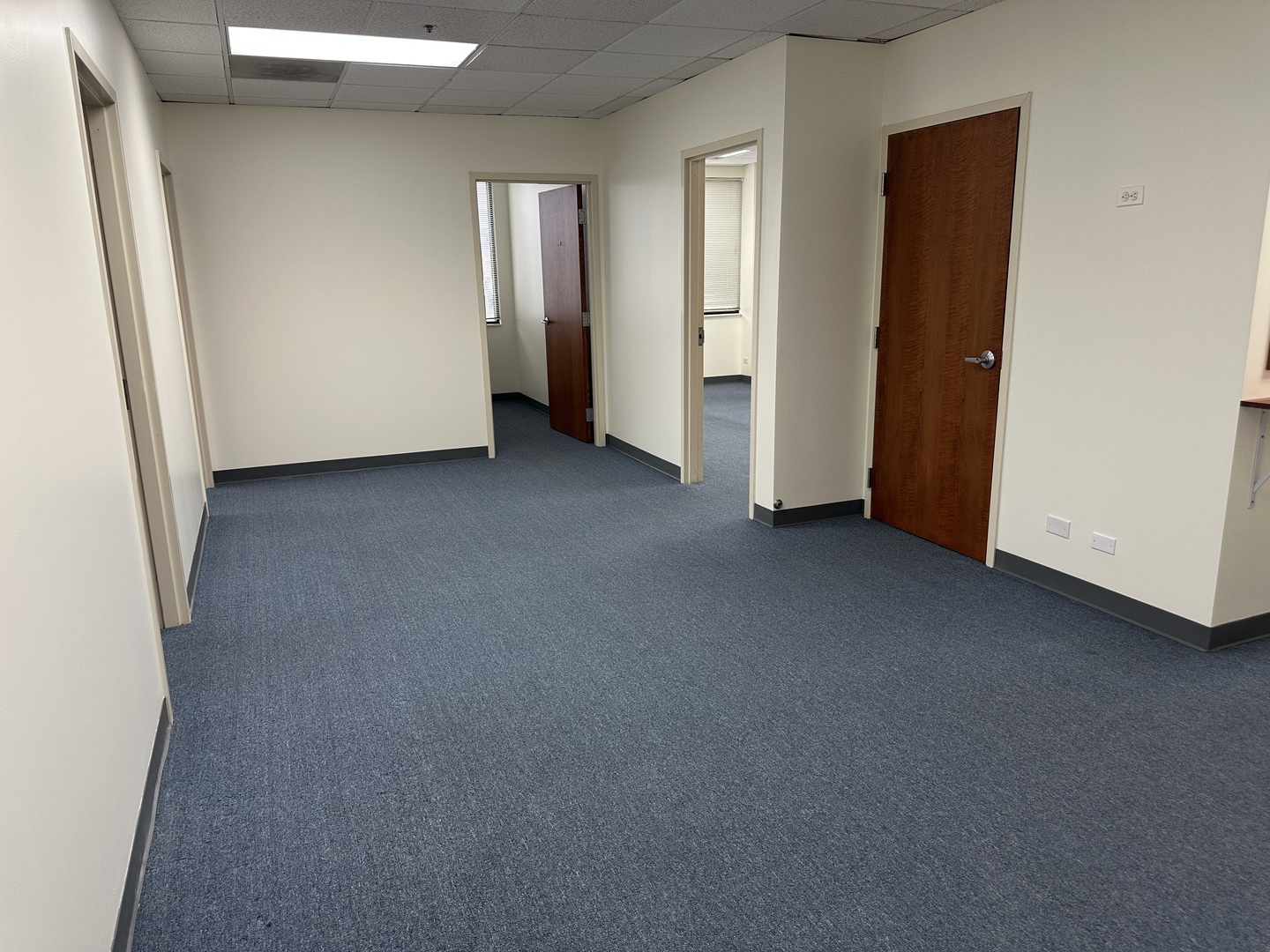 1113 S Milwaukee Avenue Property Photo 13