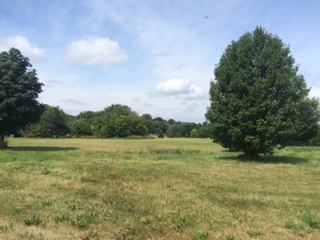 3012 Rolling Oaks Road Property Photo 1