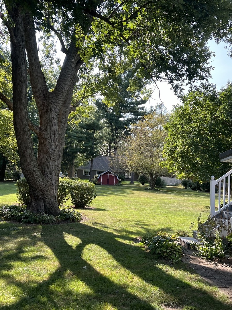1402 S Euclid Avenue Property Photo 56