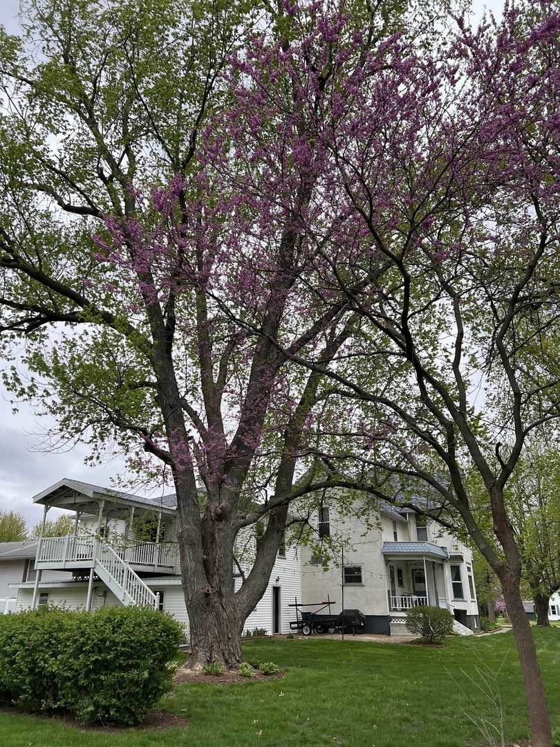 1402 S Euclid Avenue Property Photo 73