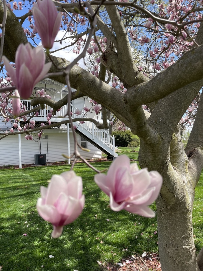 1402 S Euclid Avenue Property Photo 84