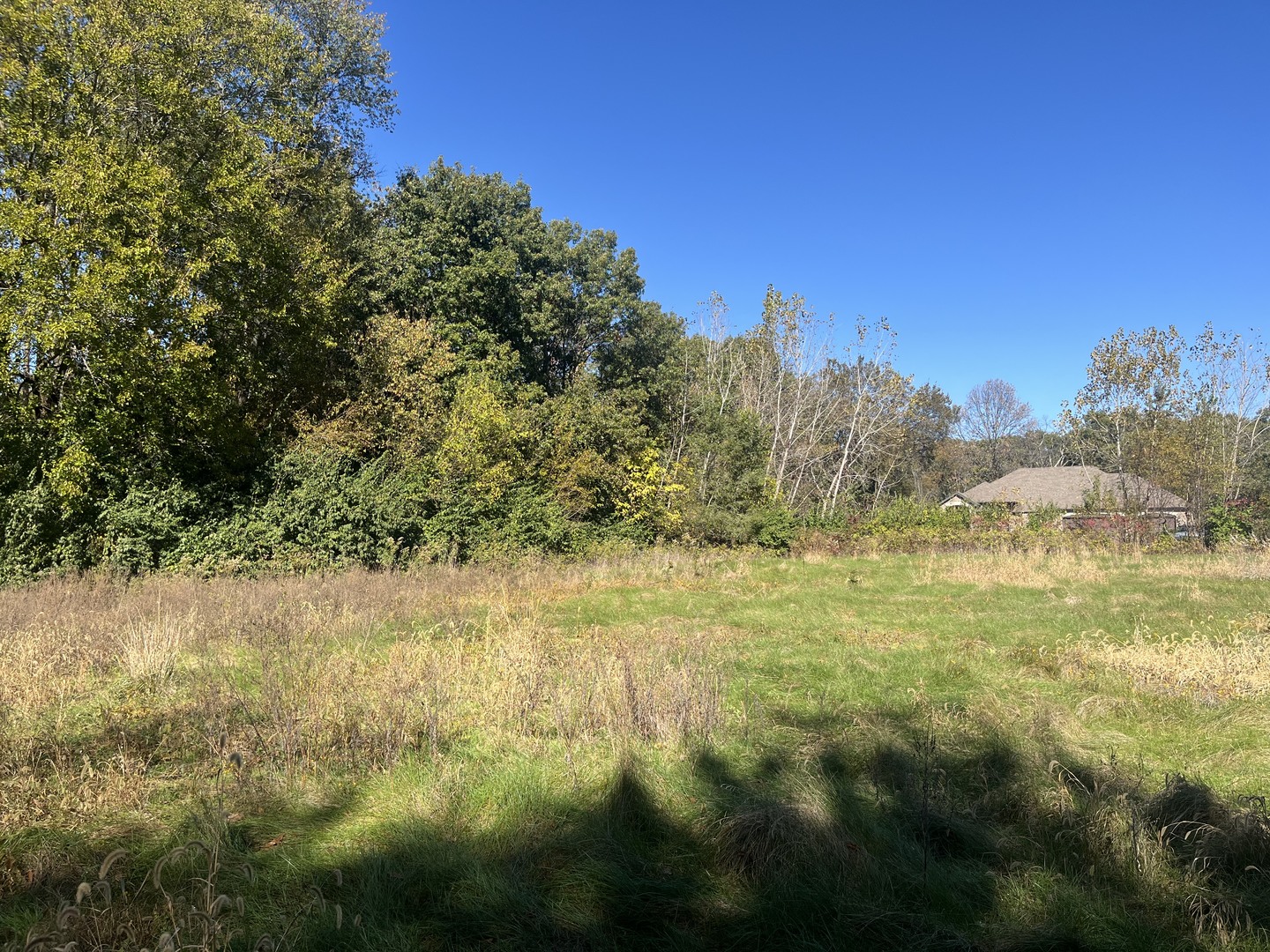 211 Norfolk Way Property Photo 6
