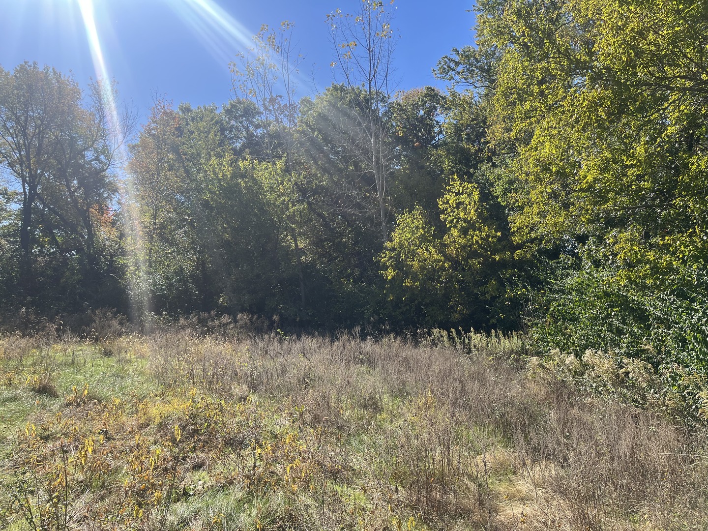211 Norfolk Way Property Photo 8
