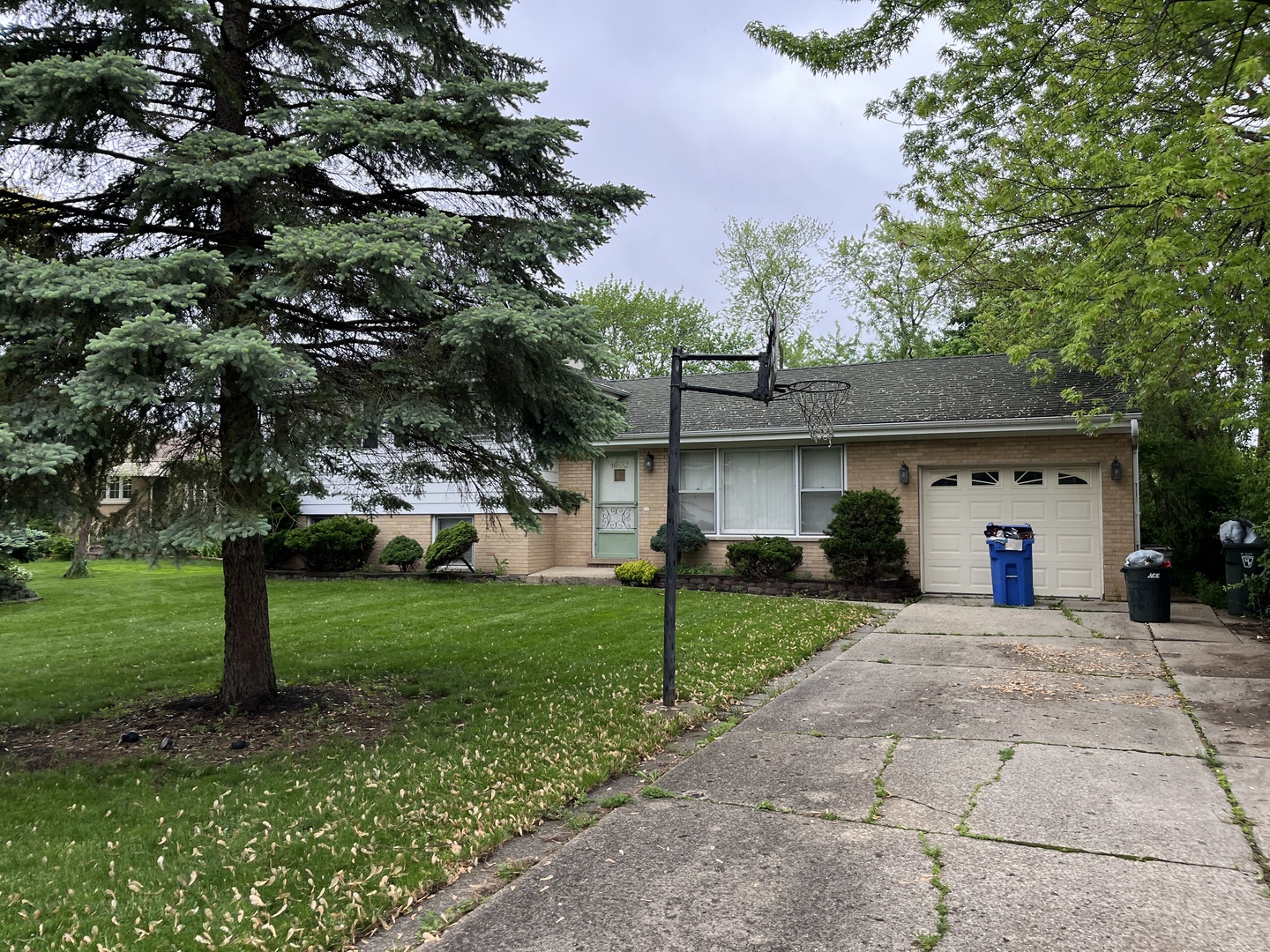 1602 W Willow Lane Property Photo 4