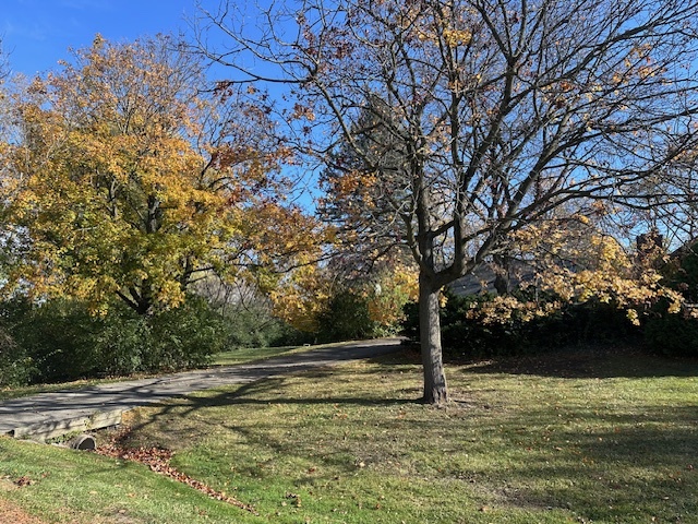 335 Countryside Court Property Photo 2