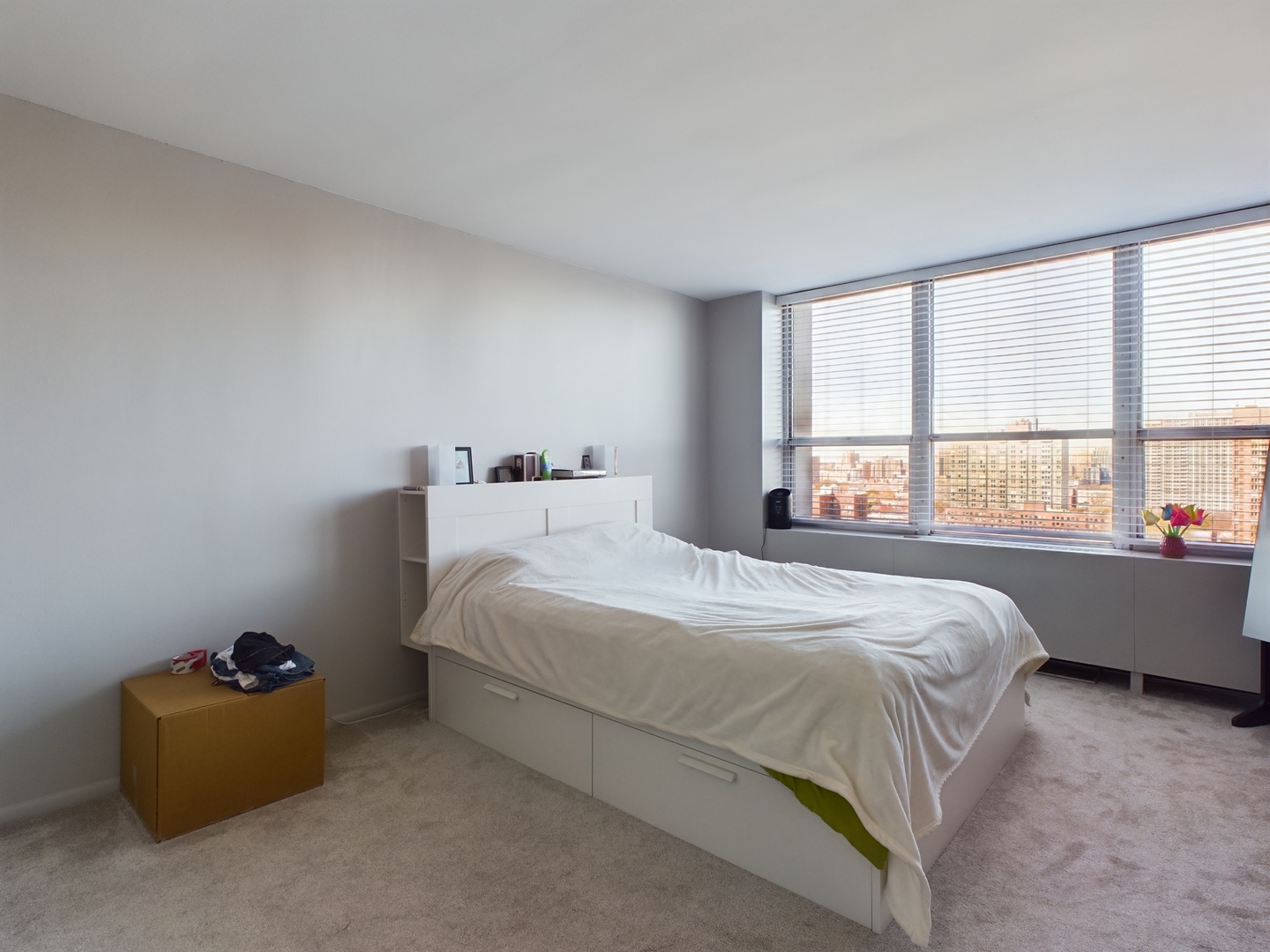655 W Irving Park Road 1710 Property Photo 15