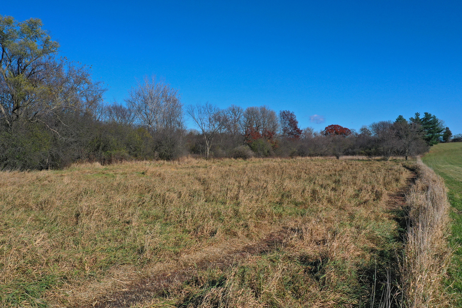 39983 N Beck Road Property Photo 23