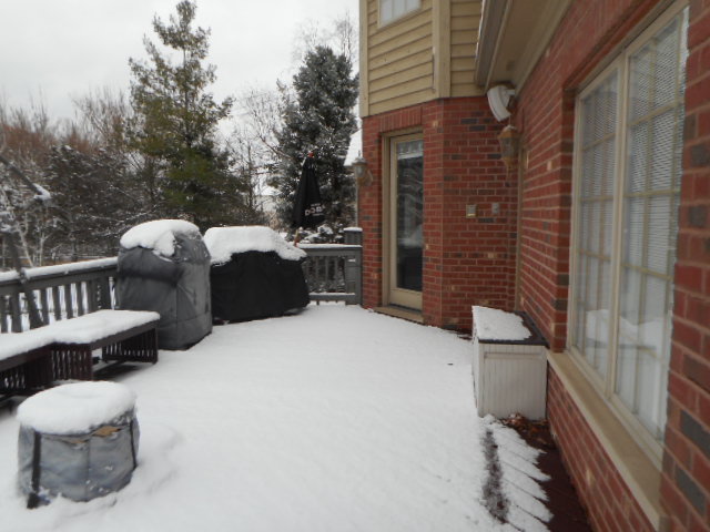 8825 Robert Road Property Photo 3